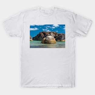 William Bay T-Shirt